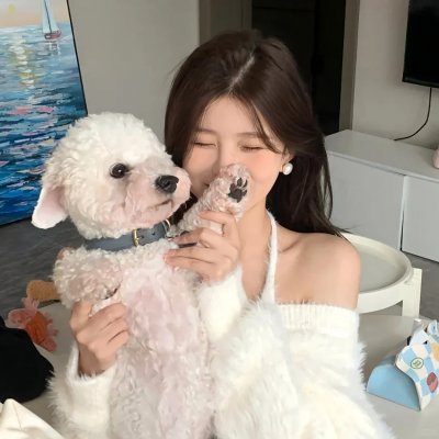 布拉姆的异想世界